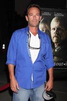 LOS ANGELES, AUG 14 - Luke Perry at the Dark Tourist LA Premiere at the ArcLight Hollywood Theaters on August 14, 2013 in Los Angeles, CA photo