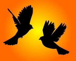 two flying birds vector