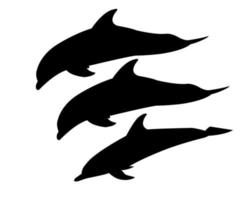 Three dolphins on a white background vector