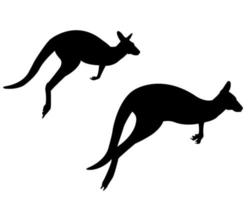 Two kangaroos on a white background vector