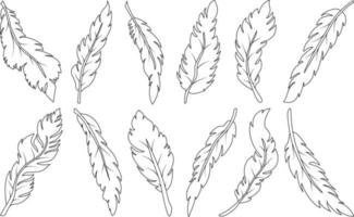 Set of various hand drawn feathers, abstract feather shape for design vector