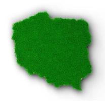 polonia mapa suelo tierra geología sección transversal con hierba verde y roca suelo textura 3d ilustración foto