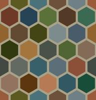 Seamless Patterns Geometry Hexagons. Earth Tone Color Set. vector