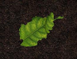 afganistán mapa hecho de hojas verdes, concepto ecología mapa hoja verde sobre fondo de suelo foto