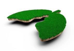 Lungs shape made of green grass and Rock ground texture cross section with 3d illustration photo