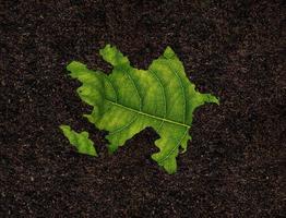 Azerbaijan map made of green leaves, concept ecology Map green leaf on soil background photo