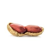 Peanuts on white background photo