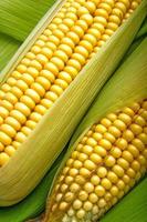 Corn and cob photo