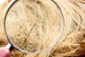 Find a Needle in the haystack photo