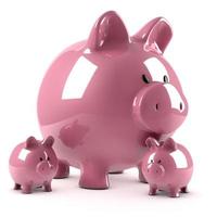 Piggy bank and its fruits photo