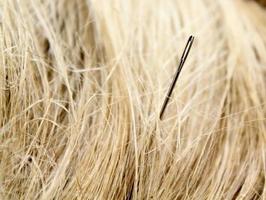 Needle in a haystack photo