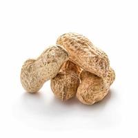 Peanuts in shell on white photo