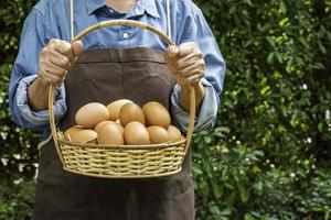 huevos de gallina frescos en una canasta, de la granja, en manos de una anciana. efecto de enfoque superficial. enfoque suave. foto