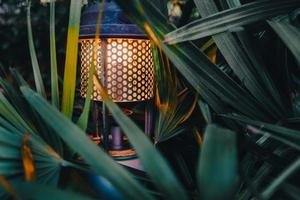 Ancient oil lamp on a green branch in the forest.camping, outdoor concept.soft focus. photo