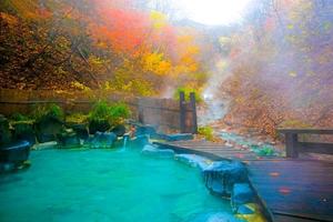 Japanese Hot Springs Onsen Natural Bath Surrounded by red-yellow leaves. In fall leaves fall in Yamagata. Japan.
