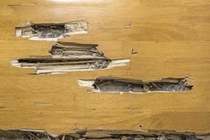 Las escaleras de madera fueron dañadas por termitas. foto