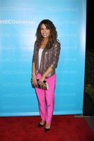 LOS ANGELES, JAN 6 - Sarah Shahi arrives at the NBC Universal All-Star Winter TCA Party at The Athenauem on January 6, 2012 in Pasadena, CA photo