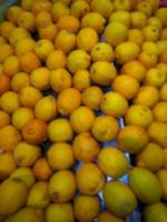 Defocused abstrack background of fresh fruits on display rack photo