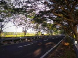 fondo abstracto desenfocado de carriles de autopista y mediana con crecimiento de plantas ornamentales y flores que brillan al sol de la mañana foto