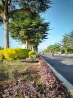 Defocused abstract background of Highway lanes and median with ornamental plant growth and flower shining in morning sun photo