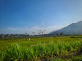 defocused abstract background of rice field and mountain with blue sky in background photo