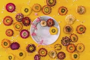 Top view concept of pastel yellow background Colorful flowers Helichrysum bracteatum concept postcard. photo