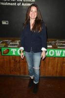 LOS ANGELES, JAN 30 - Holly Marie Combs at the PETA Superbowl Party at the PETA s Bob Barker Building on January 30, 2016 in Los Angeles, CA photo