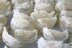 Edible bird's nest close up photo