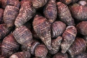 pile of taro for retail sale in local market. background of fresh taro. photo