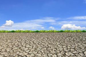 Large field of baked earth after a long drought photo