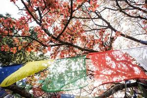 Buddhist praying flags in Lumbibi, Nepal photo