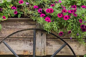 Flowers on the wagon photo