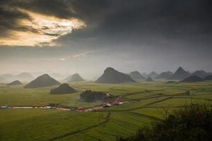 Yellow rapeseed flower field with the mist in Luoping, China photo