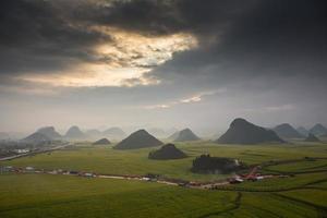 campo de flores de colza amarilla con la niebla en luoping, china foto