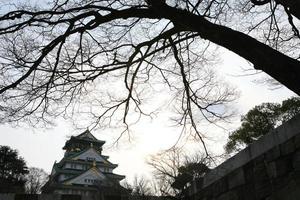 Castillo de Osaka en Osaka, Japón foto