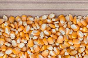 Dried raw corn kernels border on wood background photo