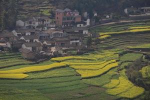 Spring fresh landscape of colorful fields, sunrise sky and beautiful hills valley photo