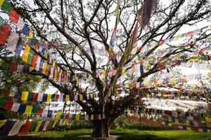 banderas de oración budistas en lumbibi, nepal foto