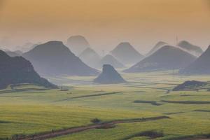 Yellow rapeseed flower field with the mist in Luoping, China photo