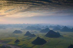 campo de flores de colza amarilla en luoping, china foto