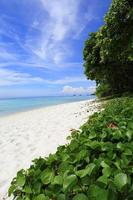 Beautiful tropical beach and sky photo