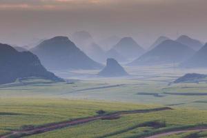 Yellow rapeseed flower field with the mist in Luoping, China photo