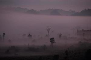 Fog mountain in the early morning sunrise photo