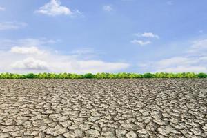 Large field of baked earth after a long drought photo