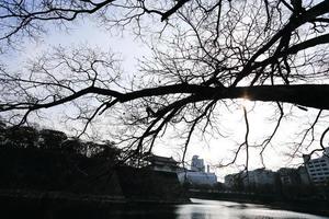 A moat surrounding Osaka castle in Japan, winter photo