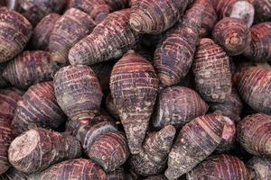 pile of taro for retail sale in local market. background of fresh taro. photo