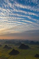 campo de flores de colza amarilla en luoping, china foto