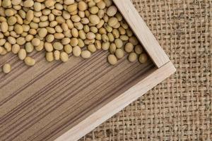 soy bean on the sacks background. photo