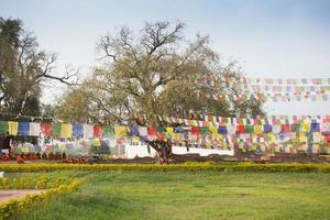 Buddhist praying flags in Lumbibi, Nepal photo