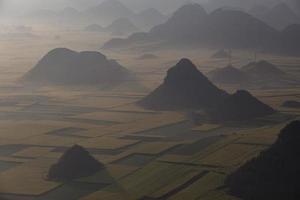 Yellow rapeseed flower field in Luoping, China photo